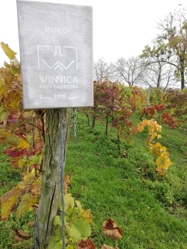 Zdjęcie z konferencji