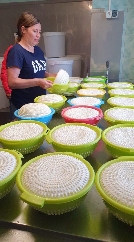 Zdjęcie z konferencji