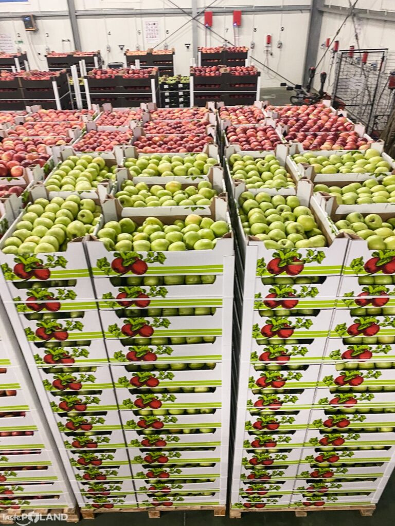 Zdjęcie z konferencji